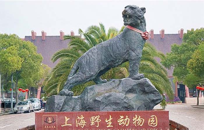  p>野生动物园中的 a href="#" data-lemmaid="22249">野生动物 /a>