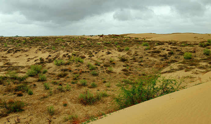 科尔沁沙地地处 a target="_blank" href="/item/西辽河平原/7652354"