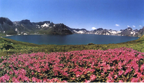data-id="gnaqavxf7m">长白山上的"空中花园",是东北亚唯一原始高山