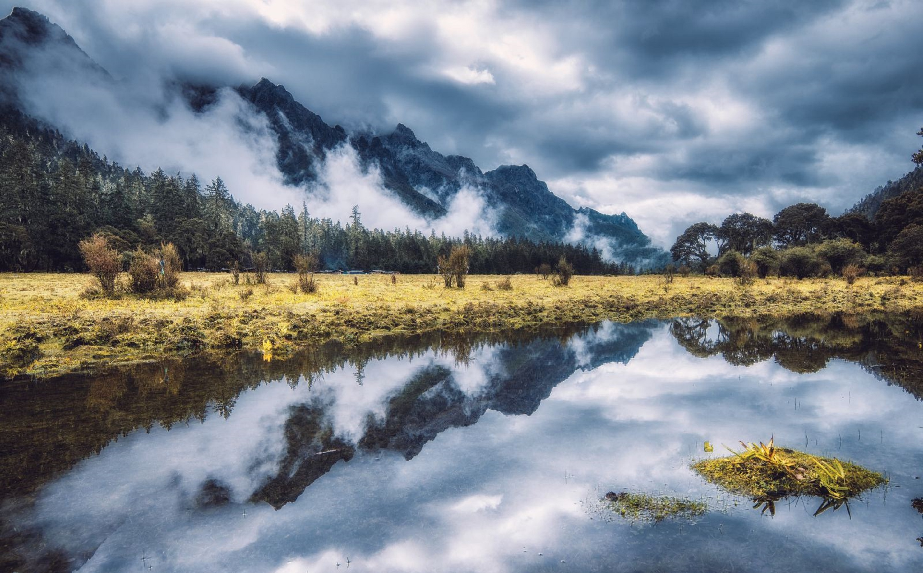 组成部分, a target="_blank" href="/item/伍须海风景区/2512362"