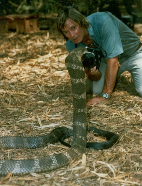  p>生于南非的奥斯汀·史蒂文斯,是世界著名的爬虫学家,电影制作, a