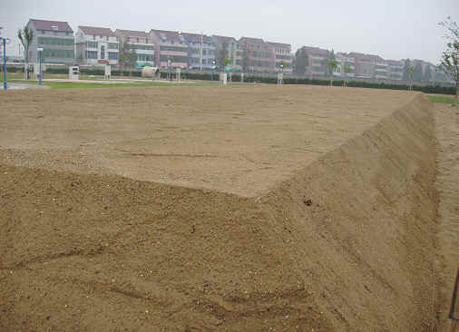 a层由表土层组成,易松动,暗褐色,是一种由腐殖质,黏土和其他无机物