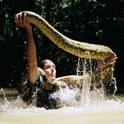 奥斯汀·史蒂文斯