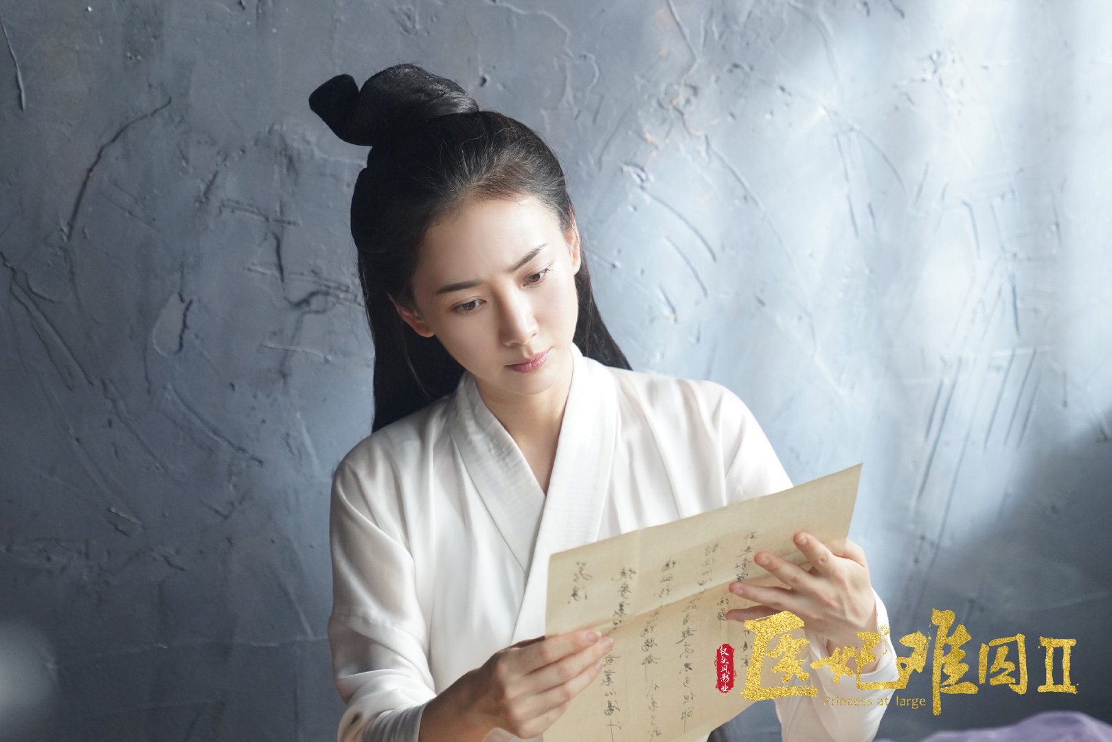 医妃难囚第二季