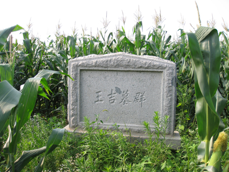 data-lemmaid="4844597">昌邑王 /a>中尉王吉的家族墓地,位于 a