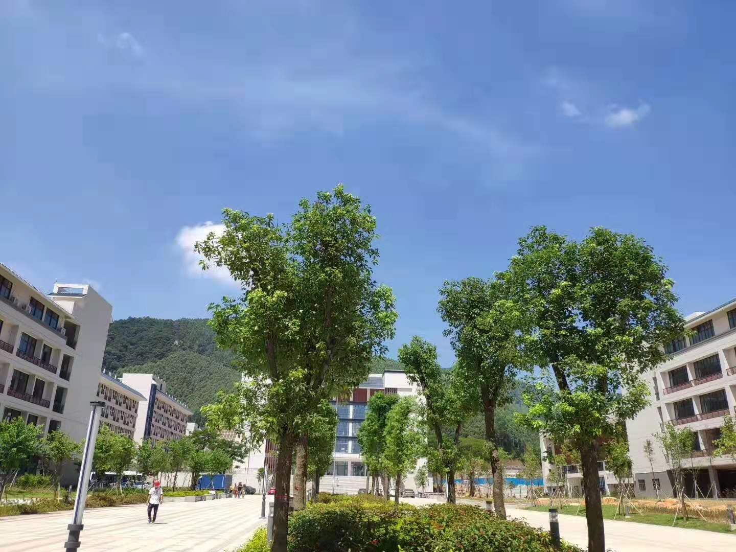 广东博罗县高级中学