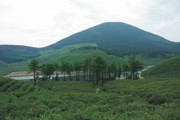 桃花溪森林公园