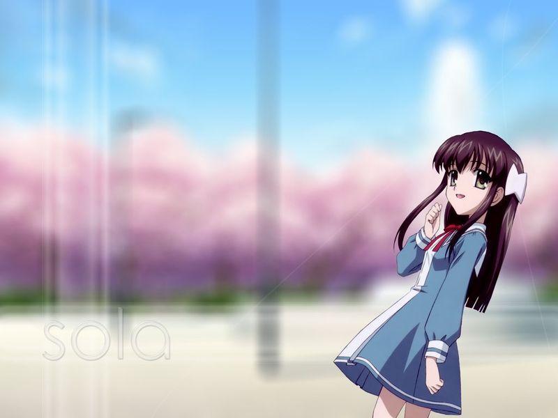  p>动画《 a href="#" data-lemmaid="43831">sola /a>》里真名的妹妹