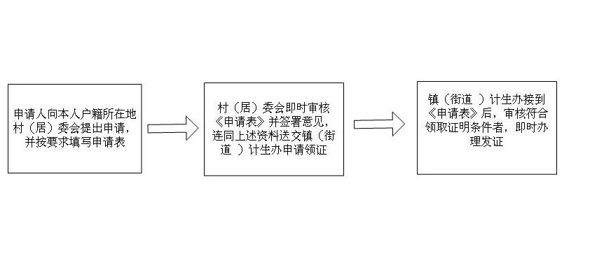 人口流动婚育证明