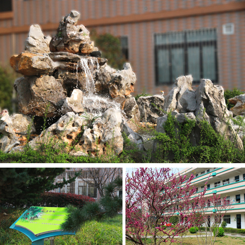 桐乡市中山路小学