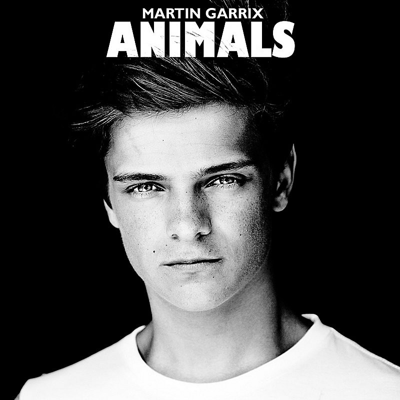 href="/item/martin garrix">martin garrix /a>(马丁·盖瑞斯)的电音