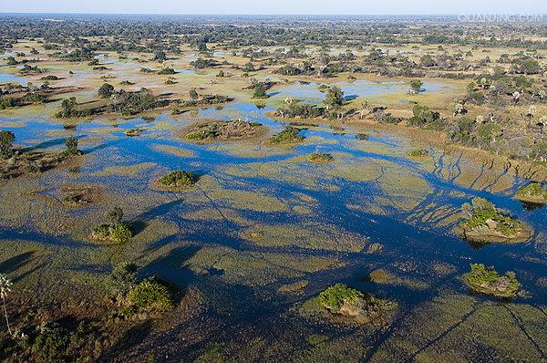  p>奥卡万戈三角洲(okavango delta),别名为"奥卡万戈沼泽",位于非洲 