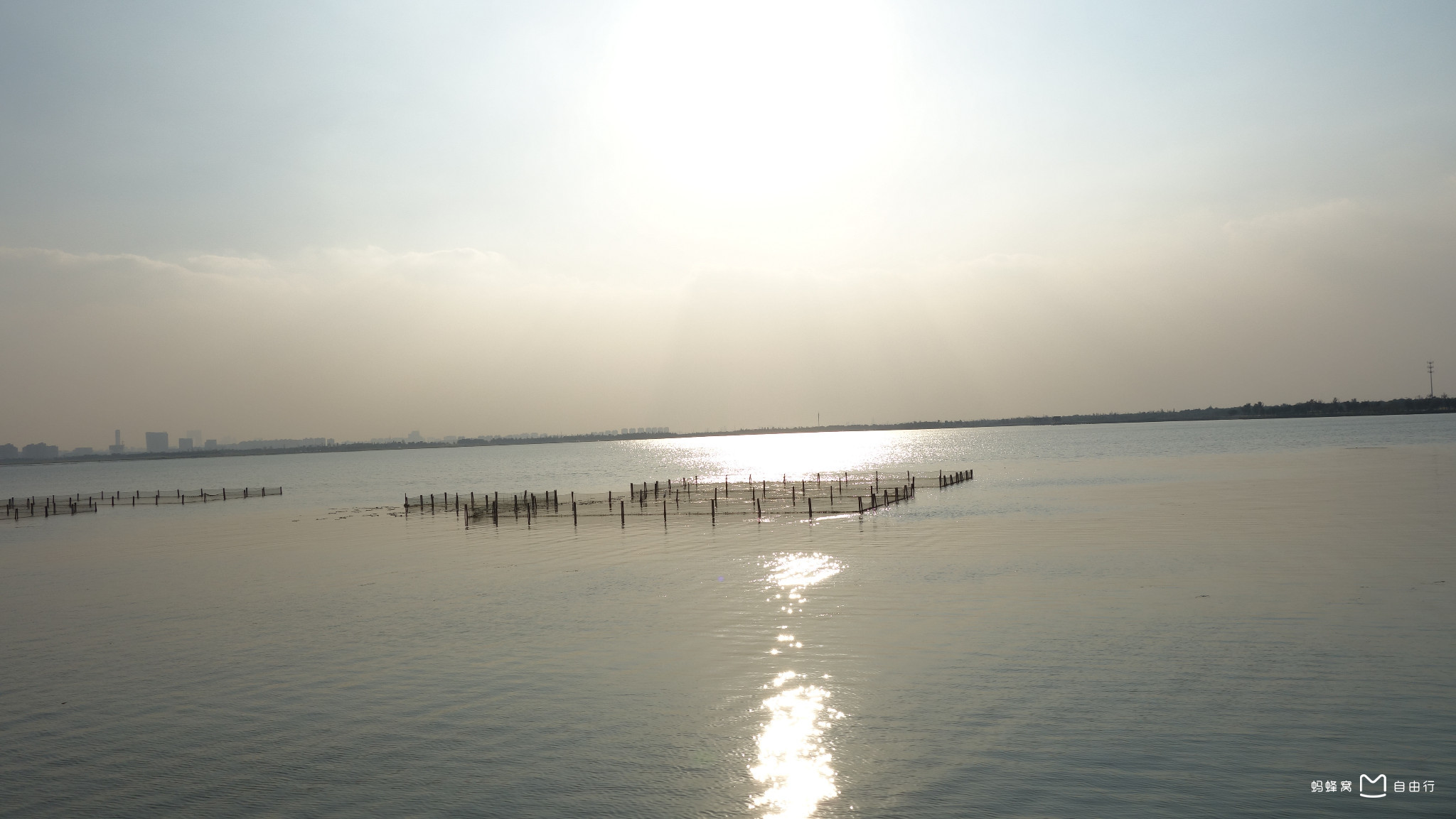 苏州阳澄湖天气预报