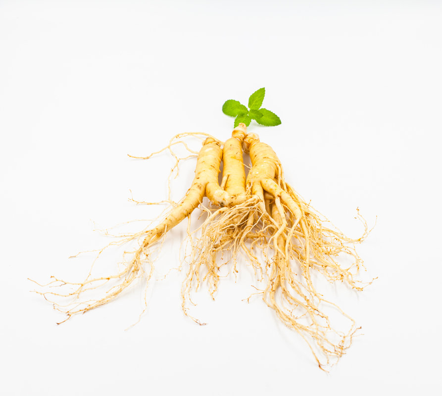  p>人参属(拉丁学名:panax l.