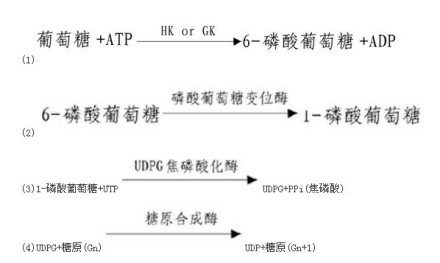 合成反應步驟