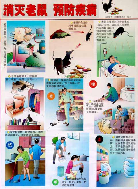 消灭家鼠