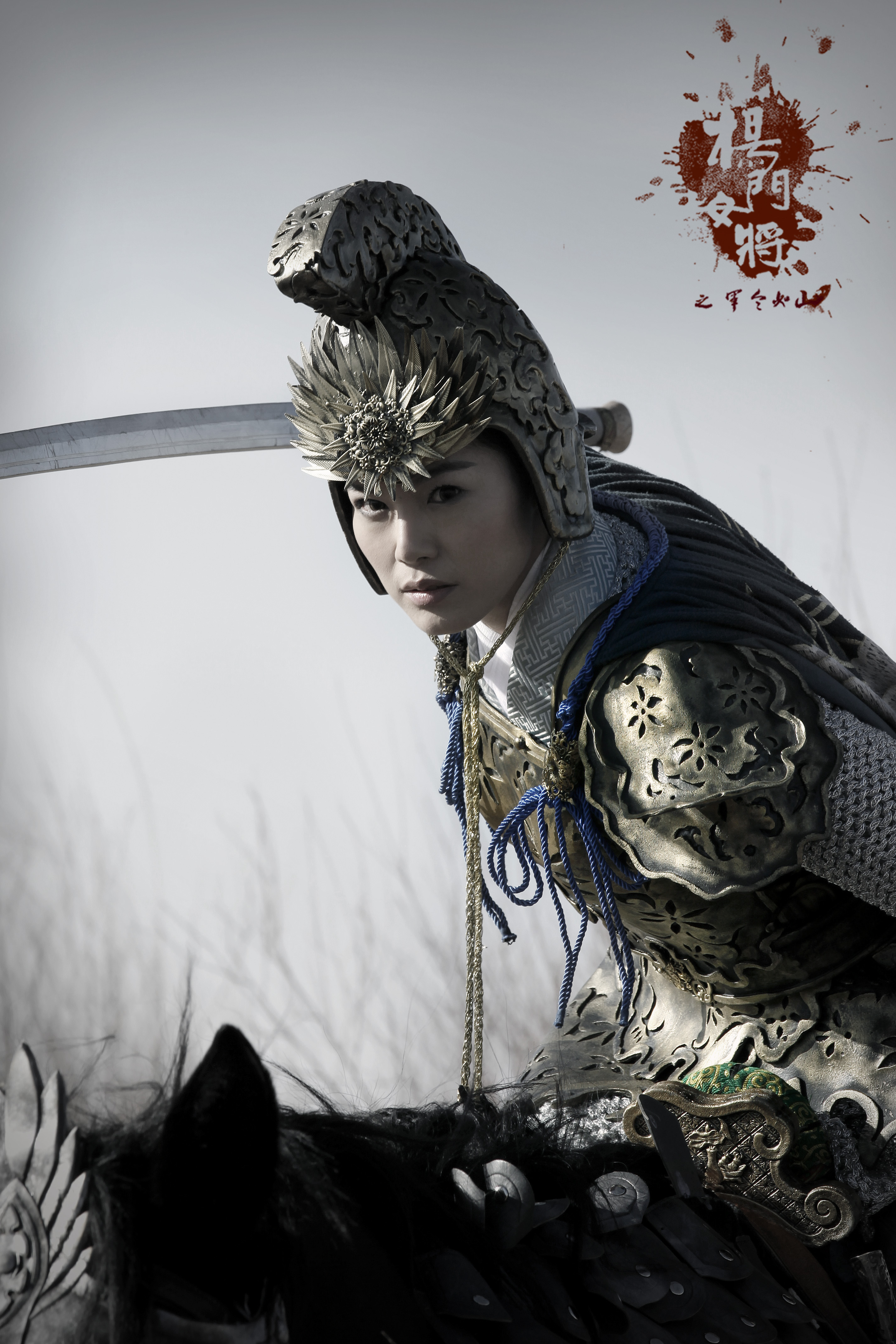 杨门女将军令如山