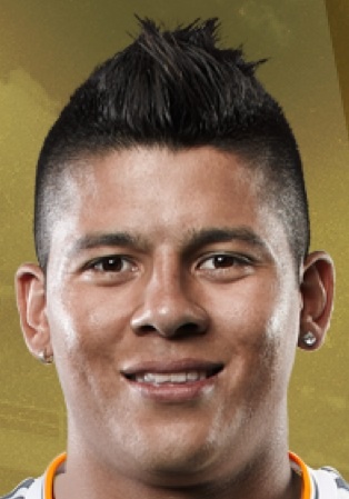  p> a target="_blank" href="/item/马科斯·罗霍">马科斯·罗霍 /a>