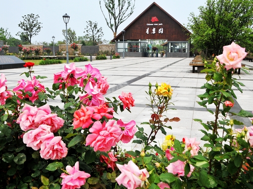 苏州月季公园