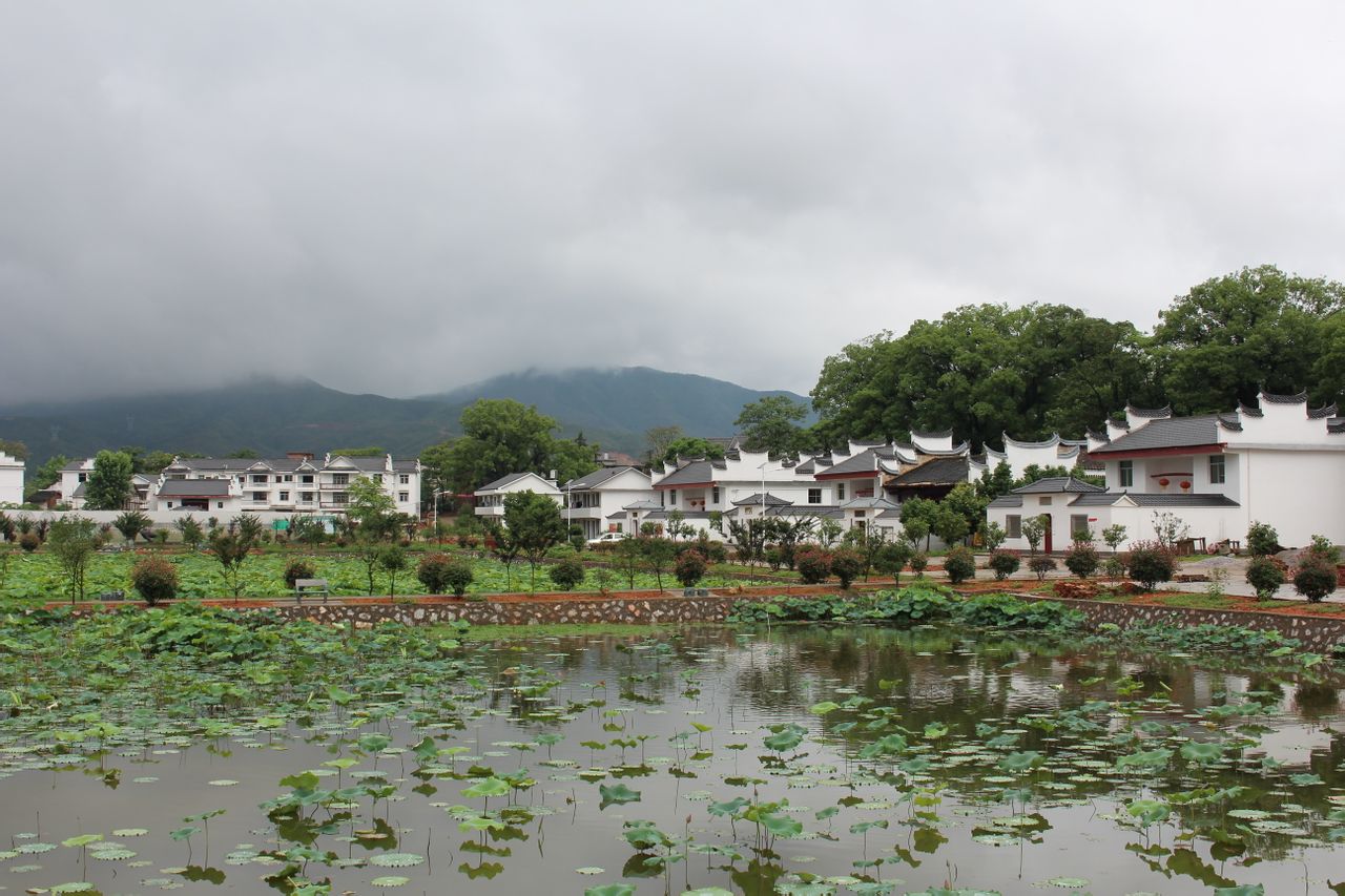  p>沙洲坝镇洁源村位于瑞金西北远郊,距市区8公里,毗邻江西省瑞金经济