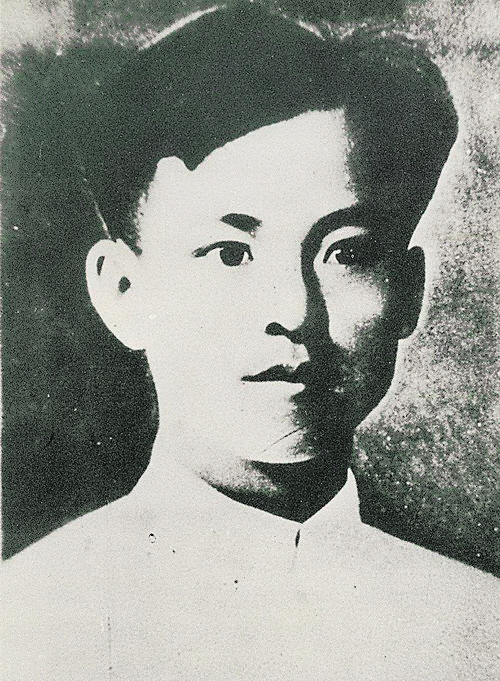 杨善集