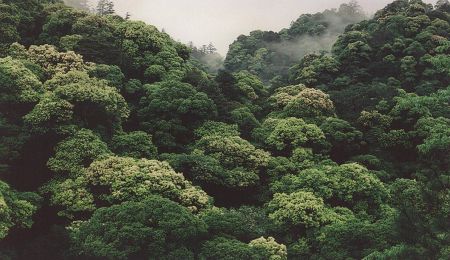 江西省井冈山国家级自然保护区
