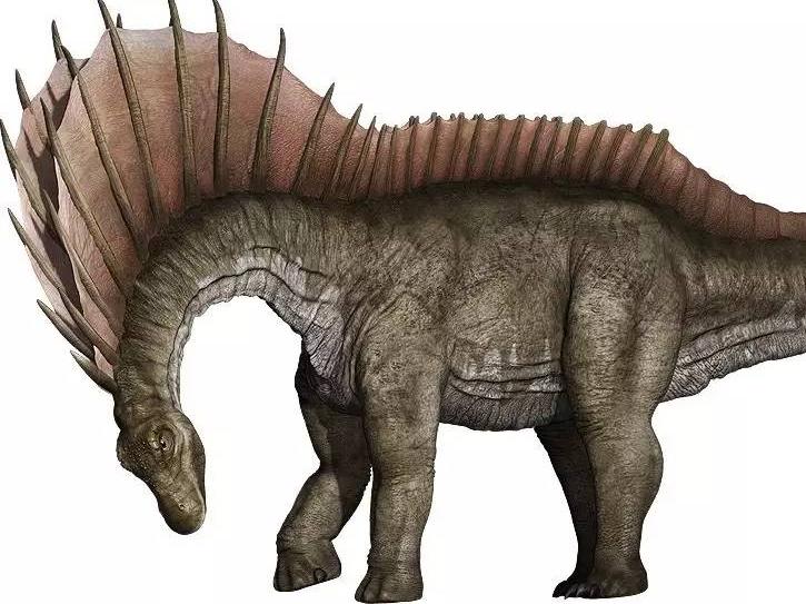  p>阿玛加龙,  a target="_blank" href="/item/叉龙科/15514300"