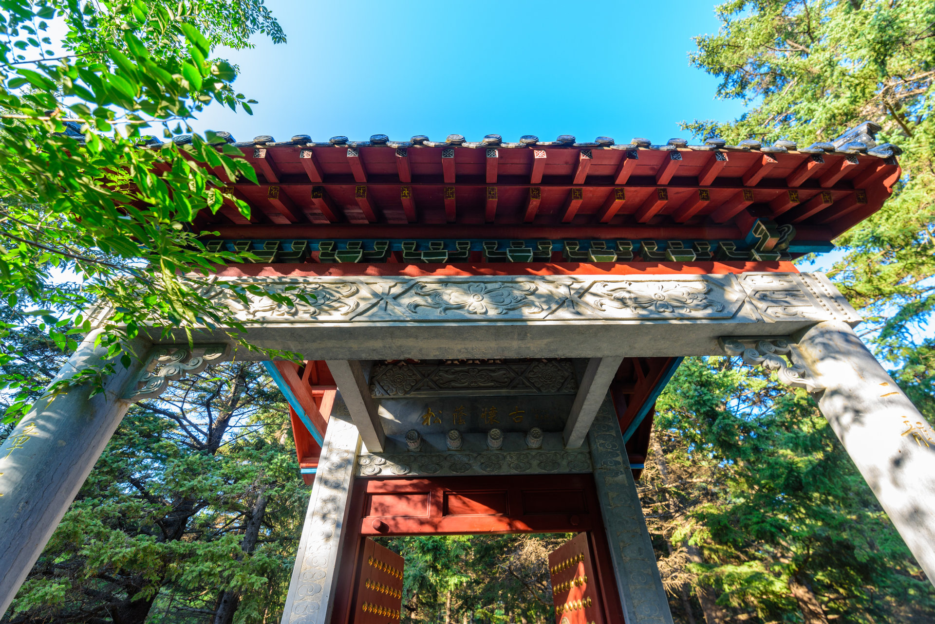嫩江高峰森林公园