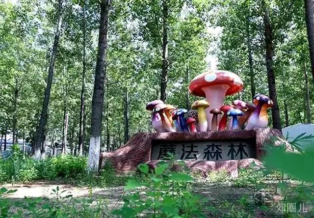 田妈妈蘑法森林农乐园