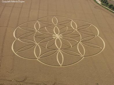 crop circle