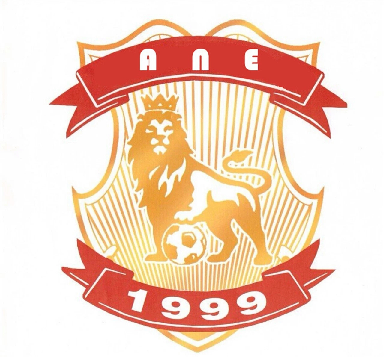  p>徐州市安妮儿足球俱乐部前身系足球爱好者自发组织的业余足球队,始