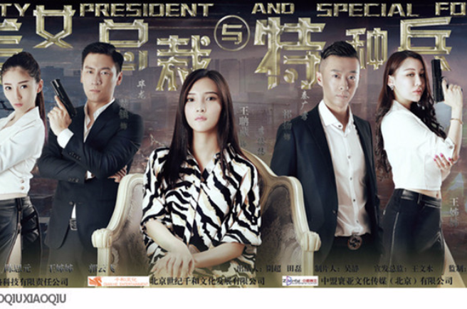 美女总裁与特种兵