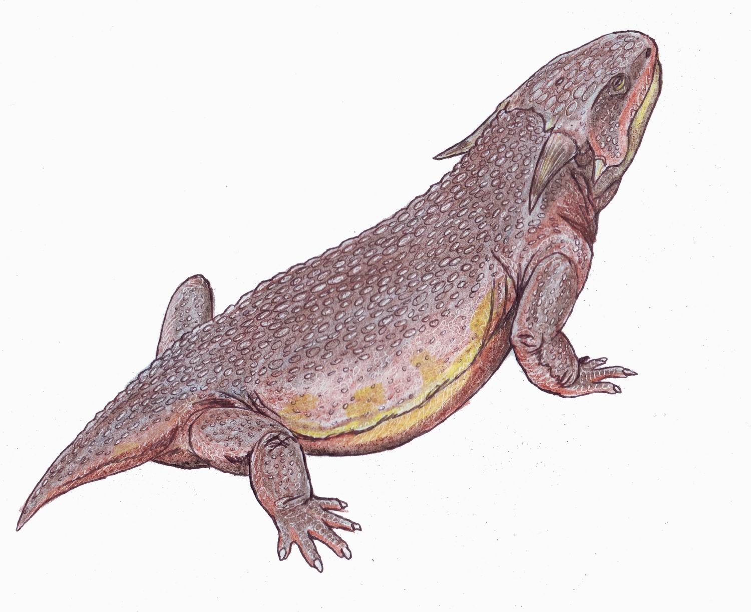  p>棱蜥科(已经灭绝)在 a target="_blank" href="/item/三叠纪