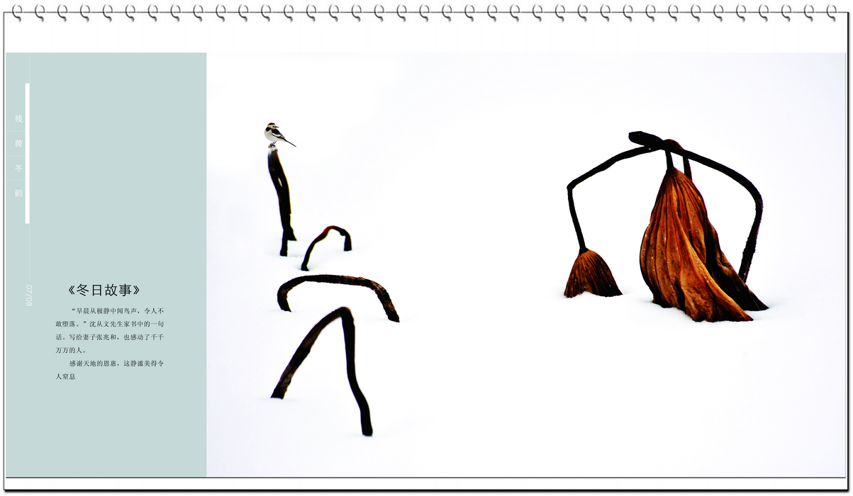  p>《残荷冬韵》是2013年中国文化出版社出版的图书,作者是徐保卫.