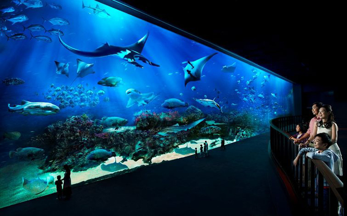  p>龙门海洋馆位于千年帝都洛阳市 a target="_blank" href="/item