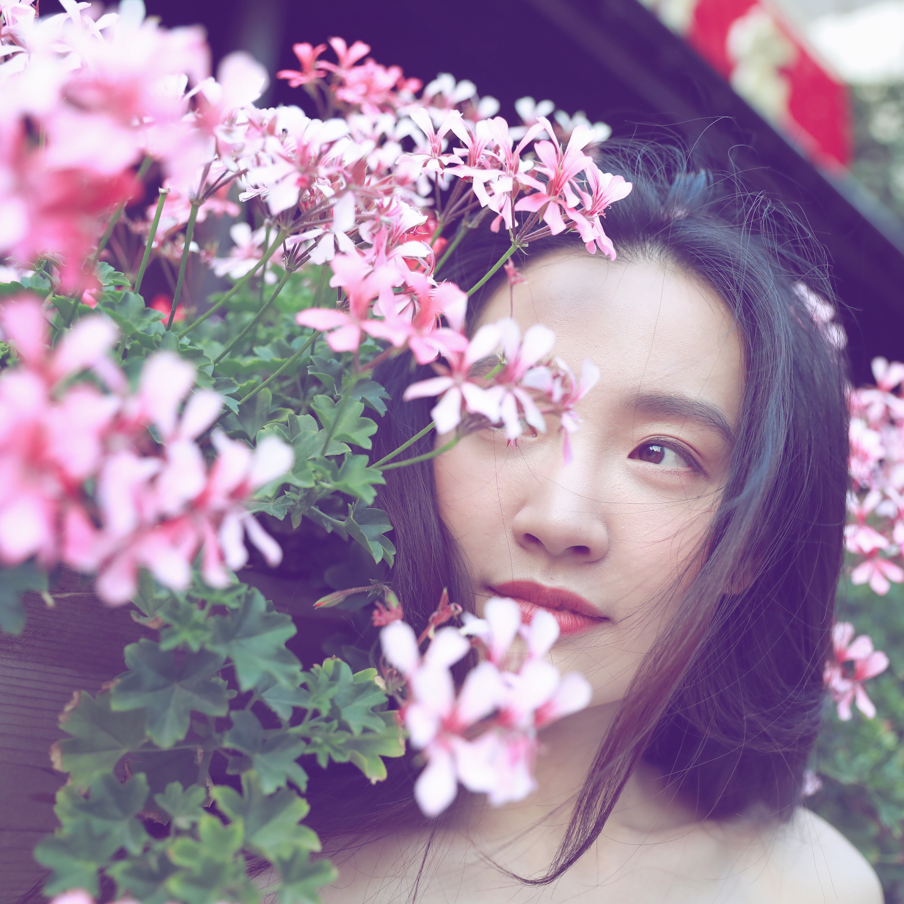 陈晓萍