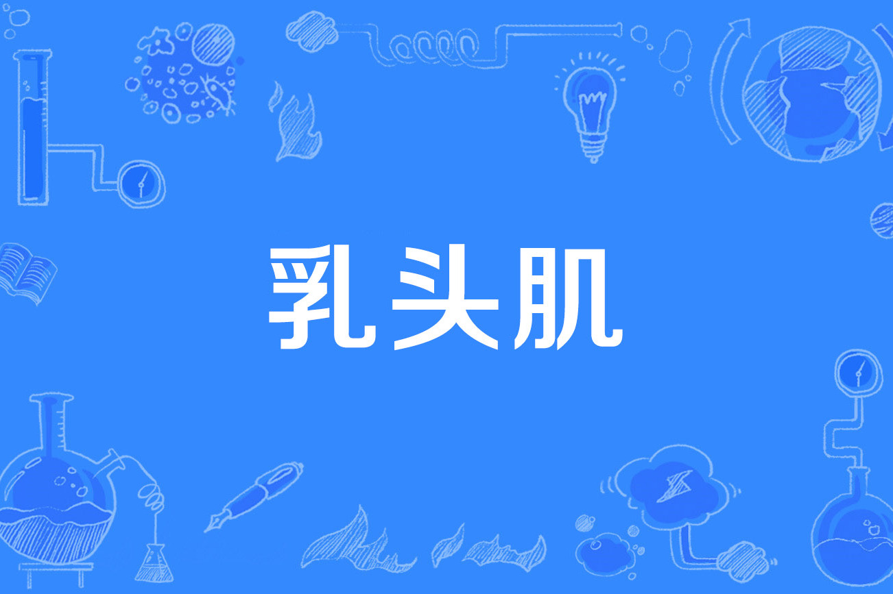  p>乳头肌(papillary muscles)是1997年公布的医学名词. /p>