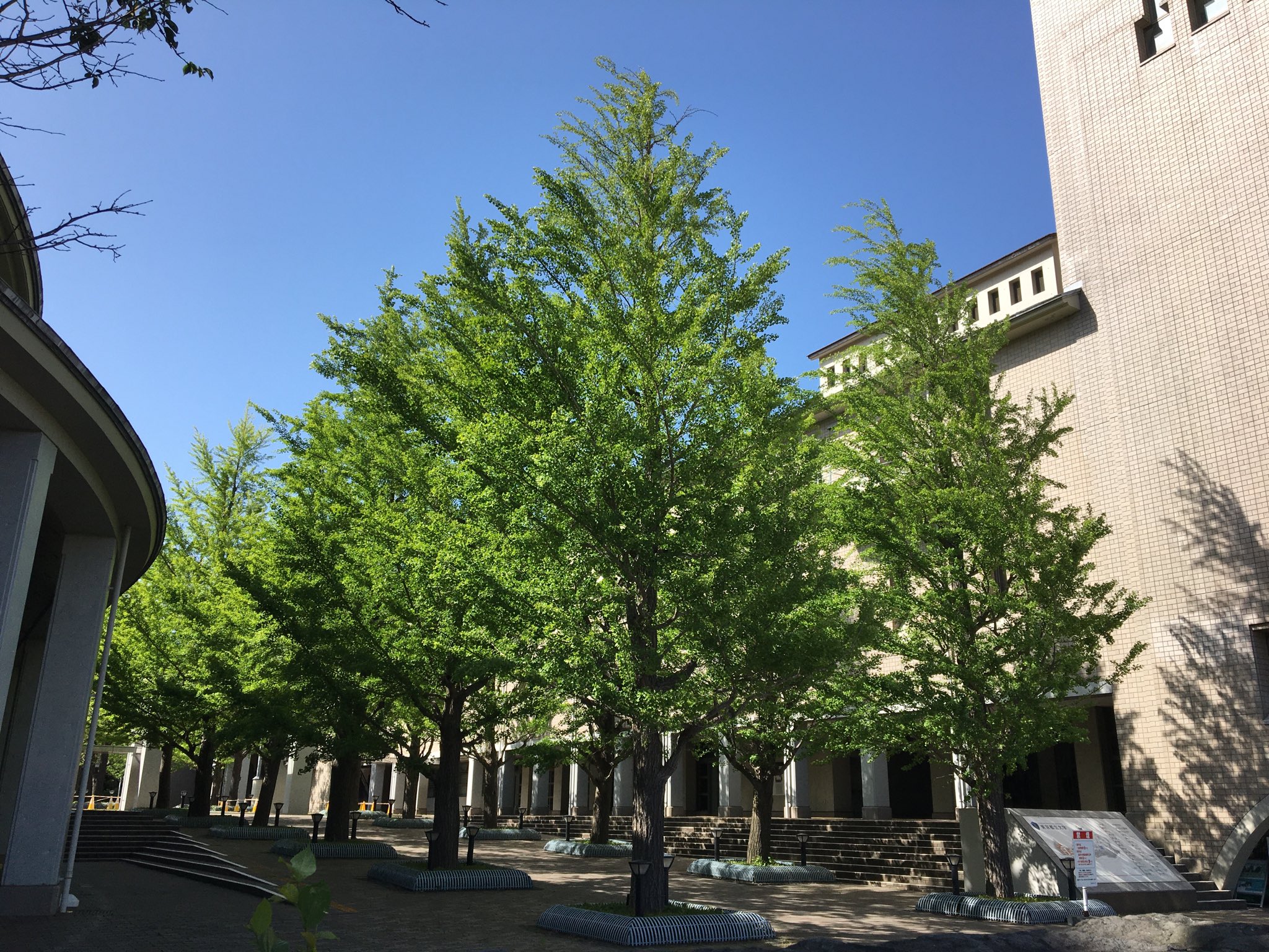 日本首都大学