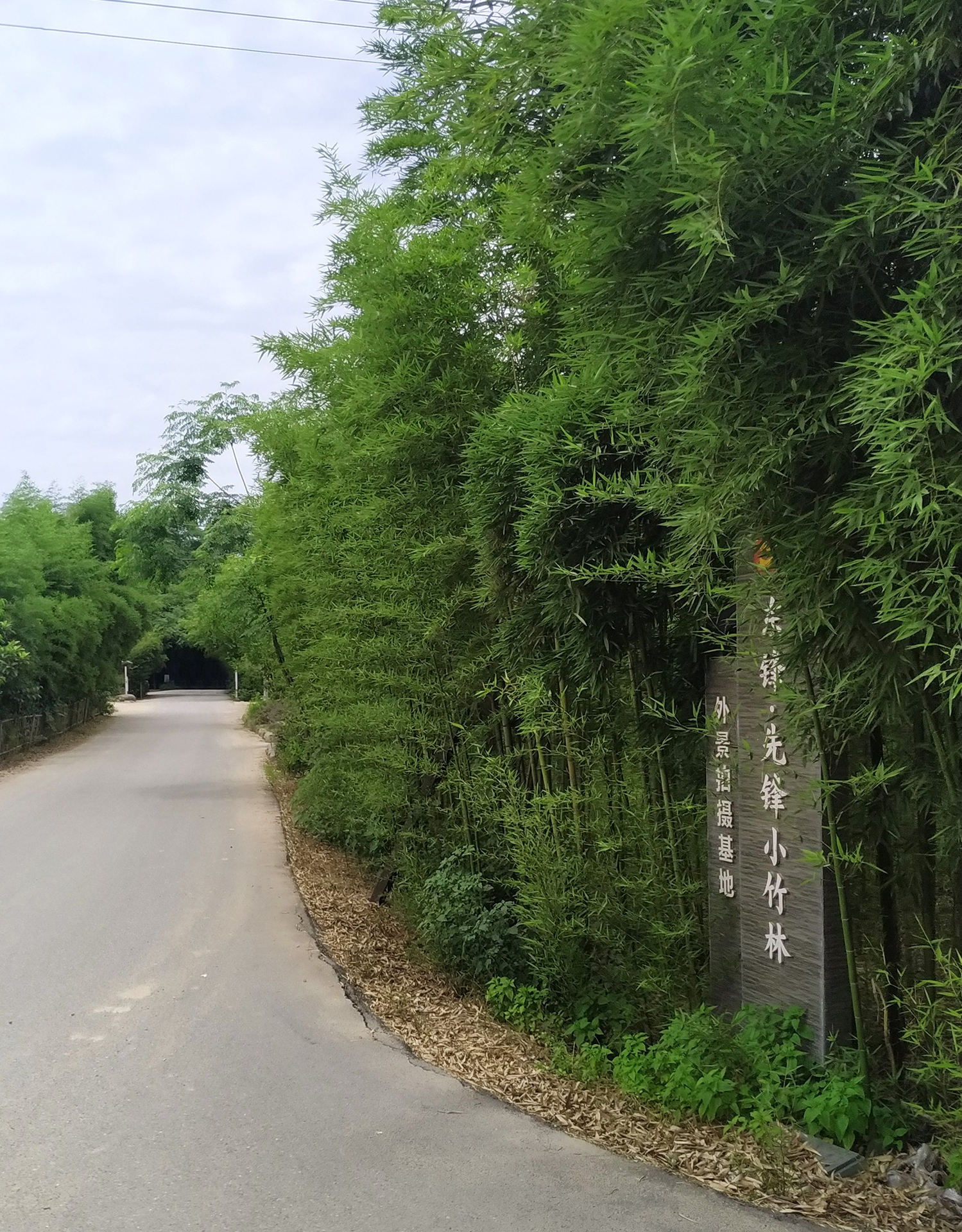 又称先锋小竹林,位于浙江省金华市东阳市城东街道 a target="_blank"