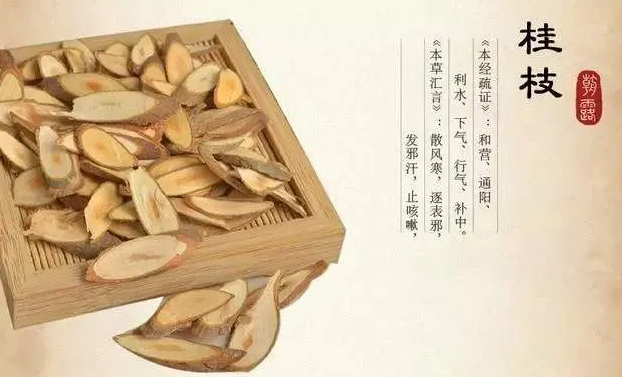 桂枝的“桂”是桂花树吗？_百科TA说