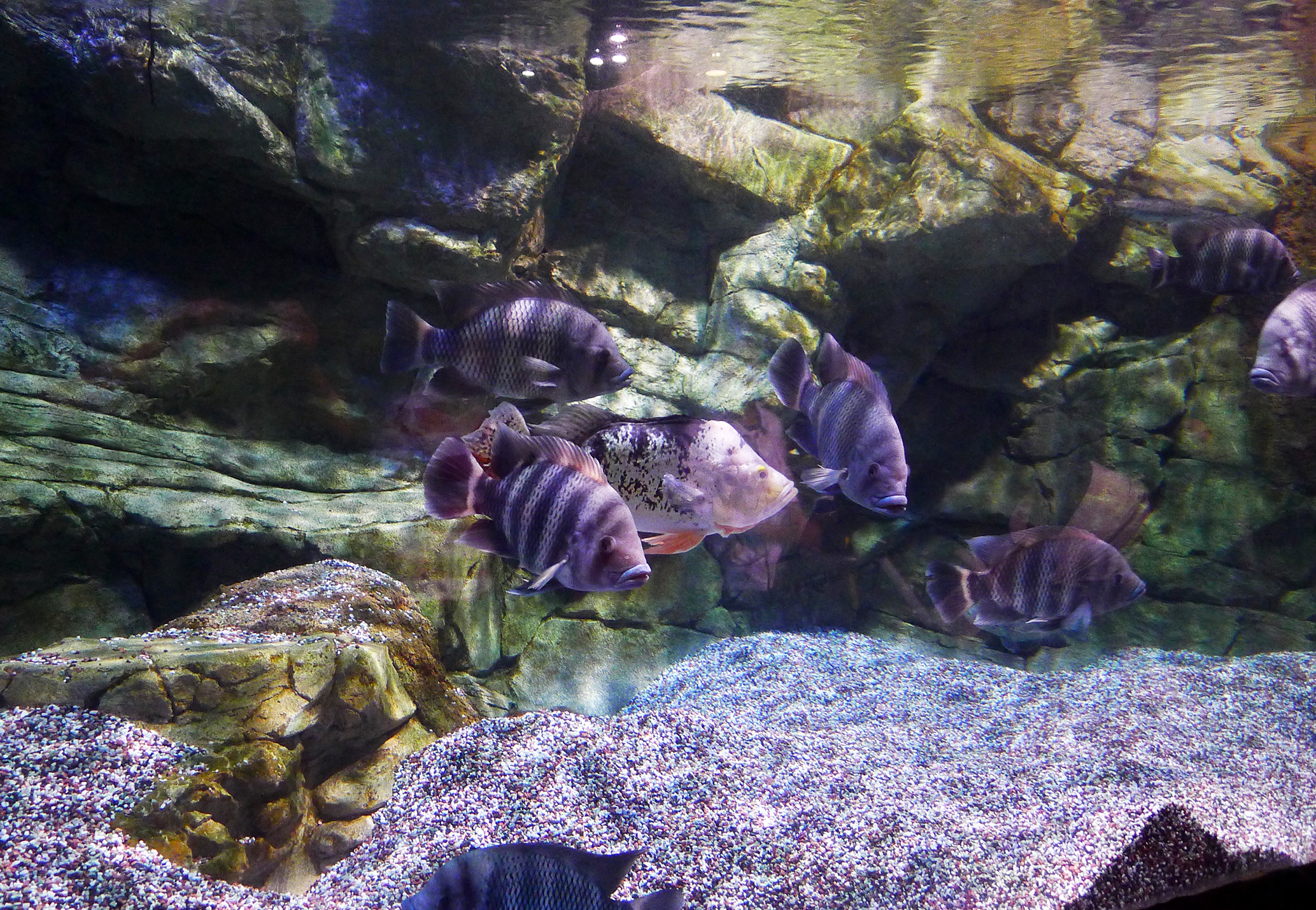海底世界北京