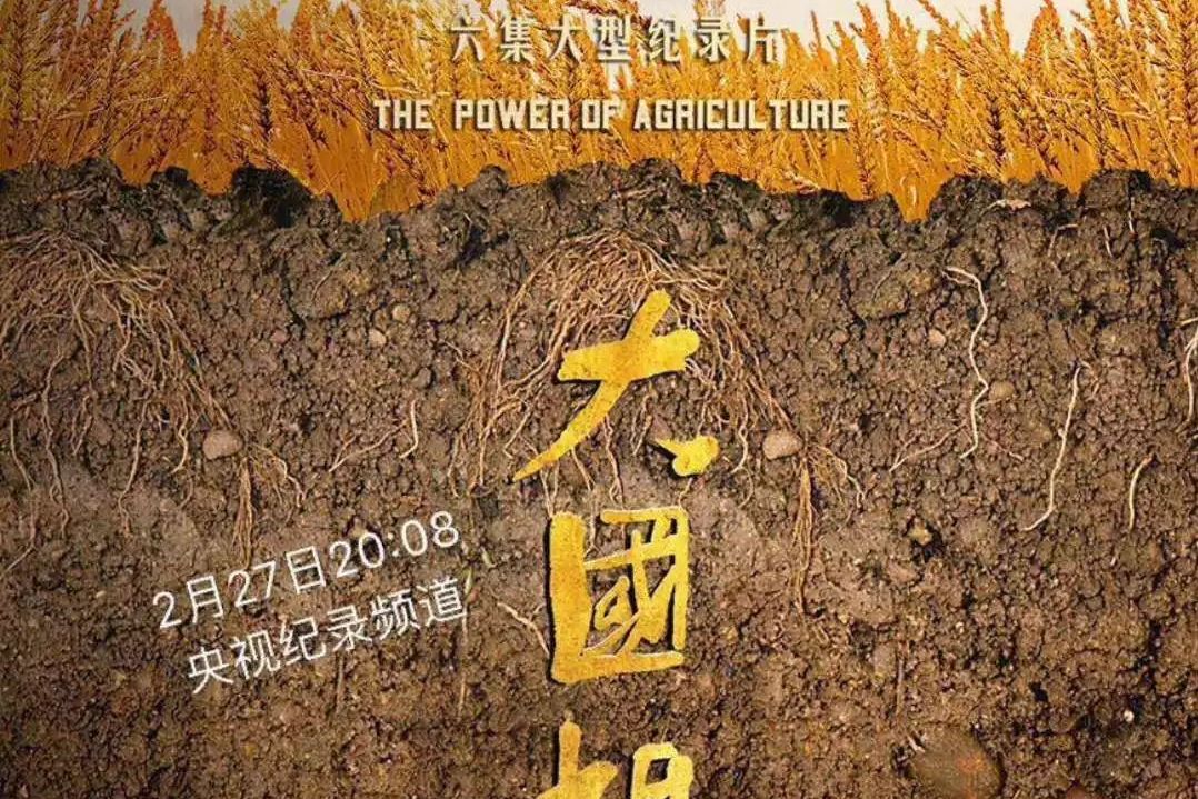  p>《大国根基》是中宣部2015年"纪录中国"传播工程的项目之一,是首部
