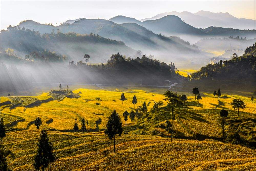  p>湖雾镇,隶属于浙江省温州市乐清市,地处 a target="_blank" href="