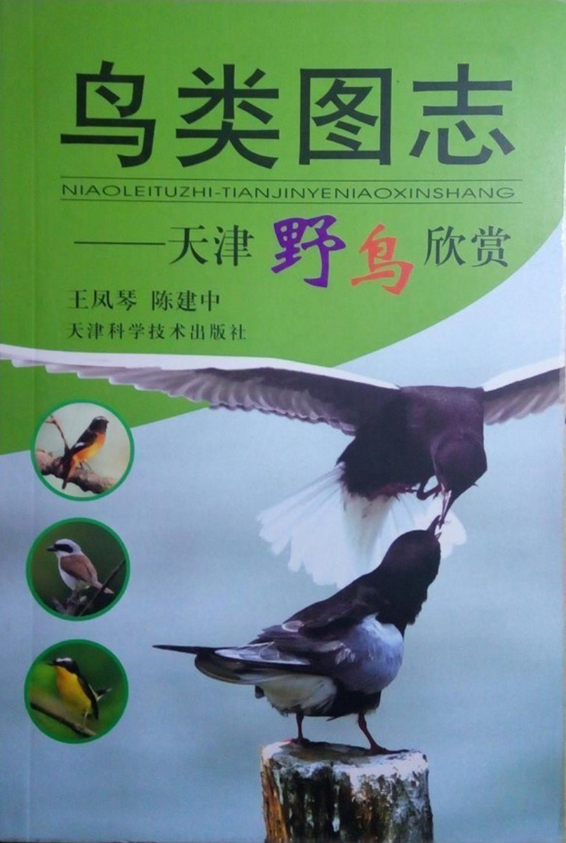 鸟类图志