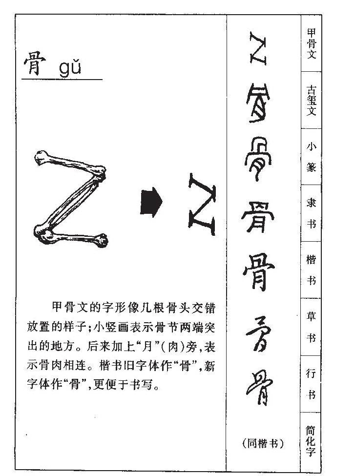 此字初文始见于商代甲骨文,其古字形像骨架相互支撑或骨头相互拼接的