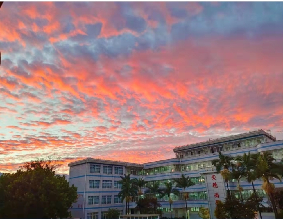 宾川县第三中学