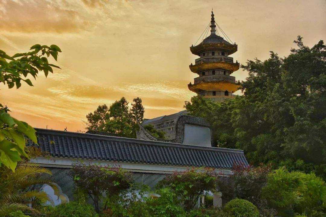 福建简称为“闽”，这里的虫指的是老虎还是蛇？_百科TA说