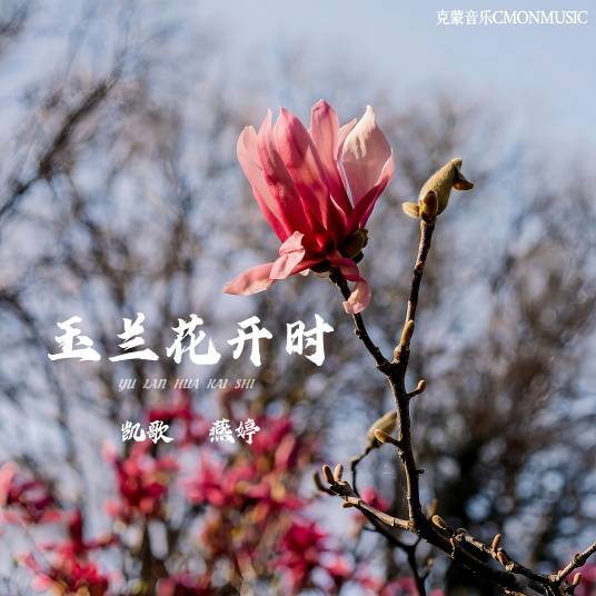 玉兰花开时（凯歌、燕婷演唱歌曲）_百度百科