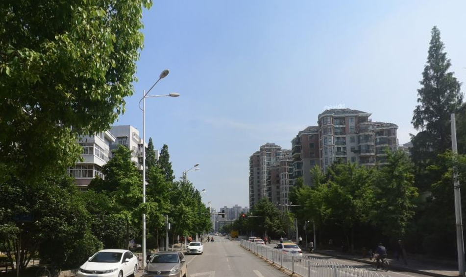 紫阳街道
