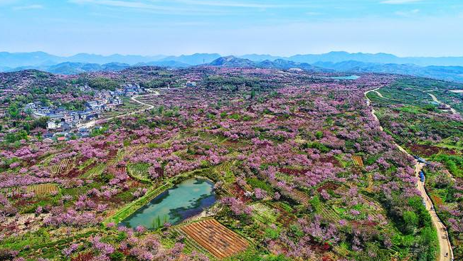 大岚镇,隶属于浙江省宁波市 a target="_blank" href="/item/余姚市